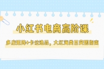 小红书电商高阶课，多店矩阵+卡位选品，大红海类目突围指南（更新5月）-臭虾米项目网