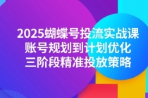 2025蝴蝶号投流实战课，账号规划到计划优化，三阶段精准投放策略-臭虾米项目网