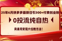 25年6月拼多多最新日引300+付费创业粉,0投流纯自热 卖课月变现六位数方法-臭虾米项目网