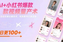 AI+小红书爆款视频量产术：全自动剪辑去重技术，矩阵账号日更百条-臭虾米项目网
