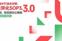 商业IP打造全攻略:差异化SOP3.0流程,短视频协议模板,婚恋项目实战案例-臭虾米项目网