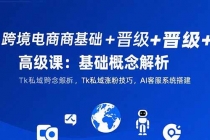 跨境电商基础+晋级+高级课：基础概念解析,Tk私域涨粉技巧,AI客服系统搭建-臭虾米项目网