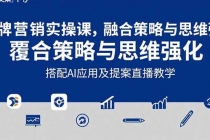 2025品牌营销实战课:覆盖文案设计写方案,搭配AI应用及提案直播教学-臭虾米项目网