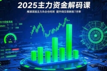 2025主力资金解码课:精准捕捉主力建仓时机,提升短线交易胜率(更新7月)-臭虾米项目网
