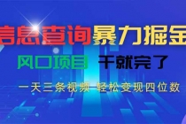 信息查询暴力掘金，一天三条视频 轻松变现四位数，风口项目干就完了-臭虾米项目网
