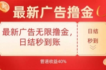 最新广告无限撸金，日结秒到，管道40%-臭虾米项目网