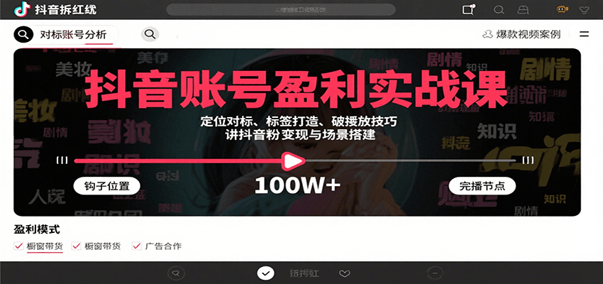 抖音账号盈利实战课，定位对标、标签打造、破播放技巧，讲涨粉变现与场景搭建-臭虾米项目网
