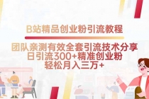 B站精品创业粉引流教程,团队亲测有效全套引流技术分享,日引流300+精…-臭虾米项目网