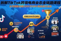 拆解TikTok跨境电商业态全链路课程：从亏损到月销2000万GMV的实战方法论-臭虾米项目网