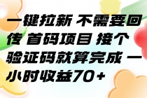 一键拉新 不需要回传 首码项目 接个验证码就算完成 一小时收益70+-臭虾米项目网