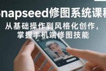 Snapseed修图系统课程：从基础操作到风格化创作，掌握手机端修图技能-臭虾米项目网