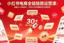 小红书电商全链路运营课：涵盖30+实操单元，实现从开店到爆款账号完整闭环-臭虾米项目网