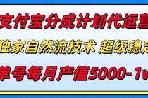 支付宝分成计划代运营，最新自然流技术，收益稳定，单号月产5000＋！-臭虾米项目网