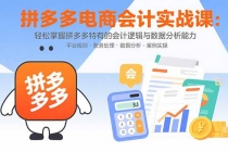 拼多多电商会计实战课：轻松掌握拼多多特有的会计逻辑与数据分析能力-臭虾米项目网