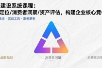 品牌建设系统课程:战略定位/消费者洞察/资产评估,构建企业核心竞争力-臭虾米项目网