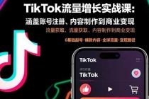TikTok流量增长实战课：涵盖账号注册、流量获取、内容制作到商业变现-臭虾米项目网