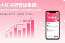 小红书运营体系课：通过大量实战案例拆解0-1000W爆款算法全攻略-臭虾米项目网