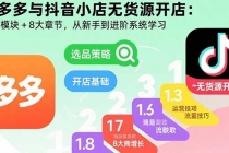 拼多多与抖音小店无货源开店：五大模块+8大章节，从新手到进阶系统学习-臭虾米项目网