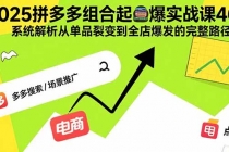 2025拼多多组合起爆实战课46期:系统解析从单品裂变到全店爆发的完整路径-臭虾米项目网