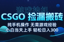 8月最新游戏搬砖,CSGO纯挂机,不需要玩游戏,实现真挂机,月入1W+-臭虾米项目网