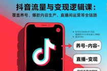 抖音流量与变现逻辑课：覆盖养号、爆款内容生产、直播间运营等全链路-臭虾米项目网