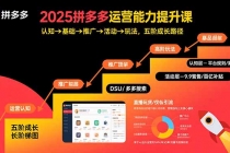 2025拼多多运营能力提升课:认知→基础→推广→活动→玩法,五阶成长路径-臭虾米项目网