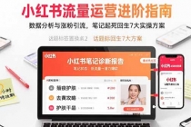 小红书流量运营进阶指南,数据分析与涨粉引流,笔记起死回生7大实操方案-臭虾米项目网