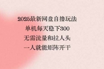 2025最新网盘自撸玩法，单机每天稳下3张，无需流量和拉人头，一个人就…-臭虾米项目网