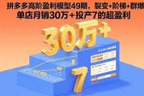 拼多多高阶盈利模型49期，裂变+阶梯+群爆  单店月销30万+投产7的超盈利-臭虾米项目网