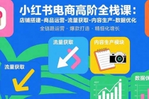 小红书电商高阶全栈课：店铺搭建-商品运营-流量获取-内容生产-数据优化-臭虾米项目网