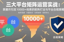 三大平台矩阵运营实战：掌握月引流10000+线索的矩阵打法与平台合规策略-臭虾米项目网