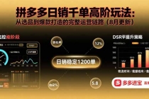 拼多多日销千单高阶玩法:从选品到爆款打造的完整运营链路(8月更新)-臭虾米项目网