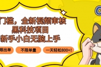 0门槛，全新视频审核黑科技项目，新手小白无脑上手5秒闭眼出单，不限单...-臭虾米项目网