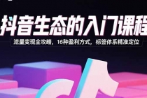 抖音生态的入门课程:流量变现全攻略,16种盈利方式,标签体系精准定位-臭虾米项目网