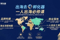 出海去 孵化器 一人出海必修课：从品牌构建到商业落地的全流程实战方法-臭虾米项目网