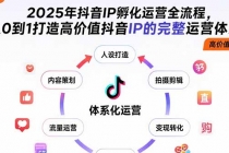 2025年抖音IP孵化运营全流程，从0到1打造高价值抖音IP的完整运营体系-臭虾米项目网