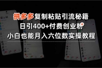 拼多多复制粘贴引流秘籍，日引400+付费创业粉，小白也能月入六位数实操…-臭虾米项目网