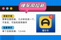 懂车帝邪修拉新玩法，简单注册回填，不sm，单个拉新12rmb，轻松日入200+-臭虾米项目网