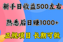 一台电脑，前期日收益300-500，熟练后日入1000左右-臭虾米项目网