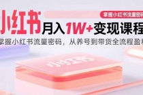 小红书月入1W+变现课程：掌握小红书流量密码，从养号到带货全流程盈利-臭虾米项目网