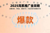 2025淘系推广全攻略，店铺诊断、万相台、智能计划，打造日销万级爆款计划-臭虾米项目网