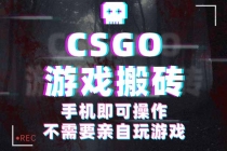 CSGO游戏挂机捡漏，单日扫货500+，年底小高峰上车可吃肉，手机即可操作...-臭虾米项目网