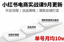 小红书电商实战课9月更新，开店流程/选品策略/爆款店铺打造，单号月均10w+-臭虾米项目网