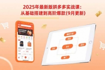 2025年最新版拼多多实战课：从基础搭建到高阶爆款（9月更新）-臭虾米项目网