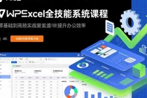 WPS Excel全技能系统课程：从零基础到高阶实战全覆盖，全面提升办公效率-臭虾米项目网