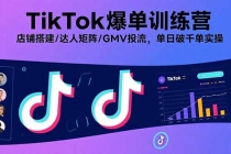 TikTok爆单训练营，店铺搭建/达人矩阵/GMV投流，单日破千单实操-臭虾米项目网