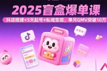 2025盲盒爆单课,抖店搭建+5天起号+私域变现,单月GMV突破10万-臭虾米项目网