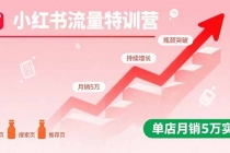小红书流量特训营:突破流量瓶颈,实现店铺持续增长,单店月销5万实战-臭虾米项目网