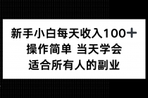 新手小白每天收入100+，操作简单 当天学会 ，适合所有人的副业-臭虾米项目网