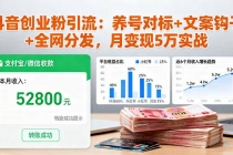 抖音创业粉引流：养号对标+文案钩子+全网分发，月变现5万实战-臭虾米项目网